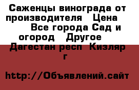 Саженцы винограда от производителя › Цена ­ 800 - Все города Сад и огород » Другое   . Дагестан респ.,Кизляр г.